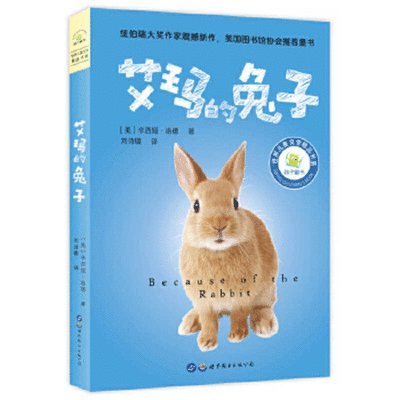 Cynthia Lord - Because of the Rabbit, Häftad