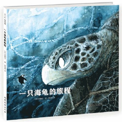 Kawasaki Shunichi - The Journey of a Sea Turtle, Inbunden