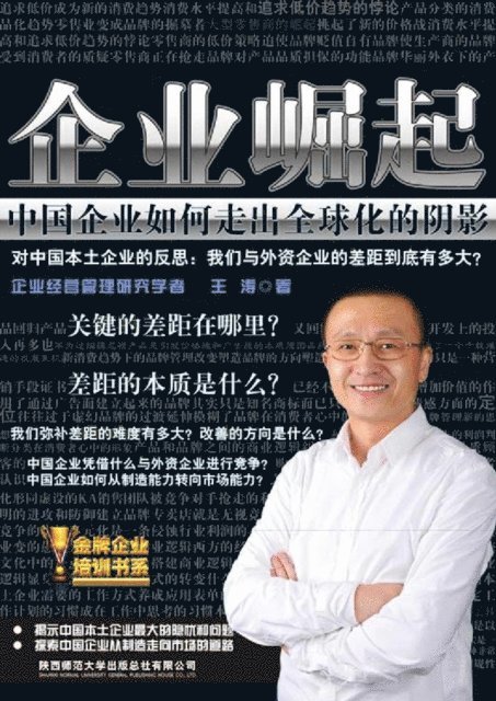 Wang Tao - Rise of enterprises, E-bok