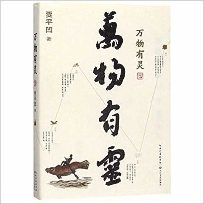 Ping Wa Jia - Animism, Häftad