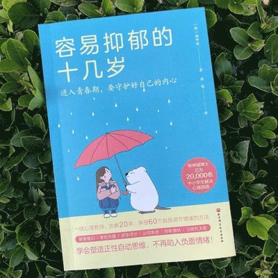 Kun Cheng Yang - Teens Who Are Prone to Depression, Häftad