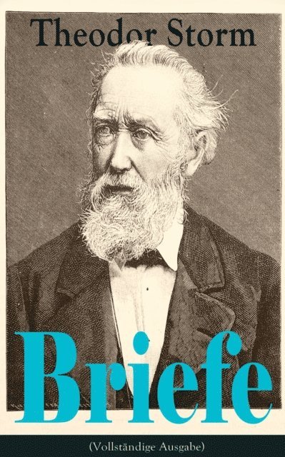 Theodor Storm - Briefe, E-bok