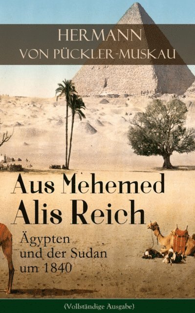 Hermann von Puckler-Muskau - Aus Mehemed Alis Reich: Ägypten und der Sudan um 1840, E-bok