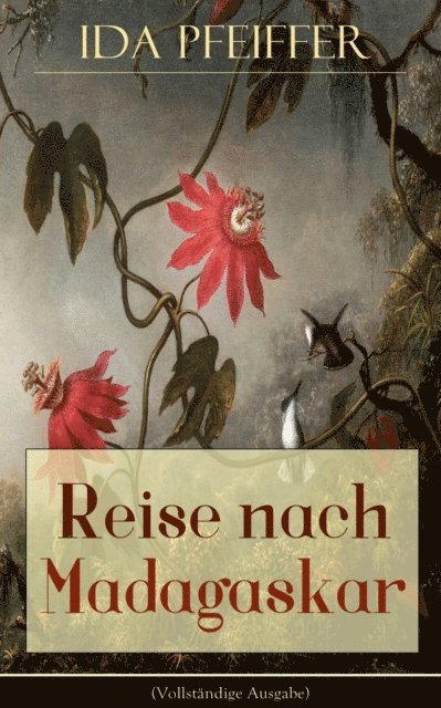 Ida Pfeiffer - Reise nach Madagaskar, E-bok