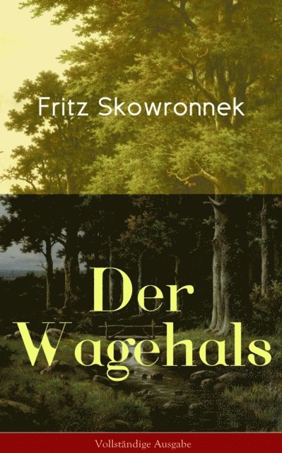 Fritz Skowronnek - Der Wagehals, E-bok