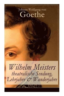 Johann Wolfgang Von Goethe - Wilhelm Meisters Theatralische Sendung, Lehrjahre & Wanderjahre, Häftad