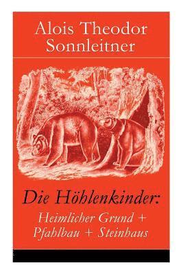 Alois Theodor Sonnleitner - Die Höhlenkinder, Häftad