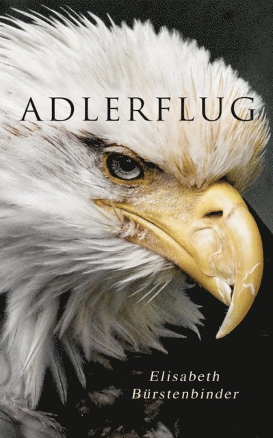 Elisabeth Burstenbinder - Adlerflug, E-bok