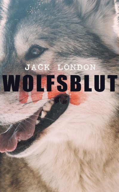 Jack London - Wolfsblut, E-bok