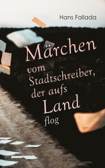 Hans Fallada - Märchen vom Stadtschreiber, der aufs Land flog, E-bok