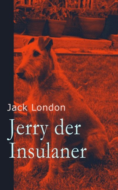 Jack London - Jerry der Insulaner, E-bok