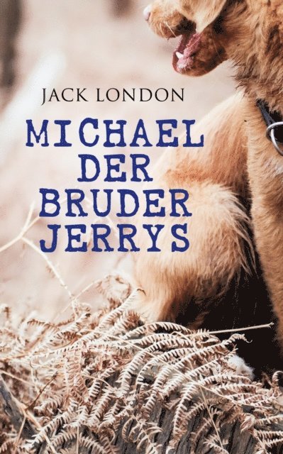 Jack London - Michael der Bruder Jerrys, E-bok