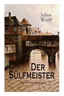 Julius Wolff - Der Sülfmeister (Historischer Roman), Häftad