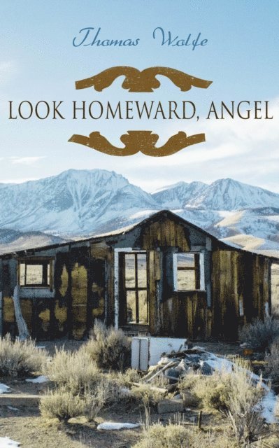 Thomas Wolfe - Look Homeward, Angel, E-bok