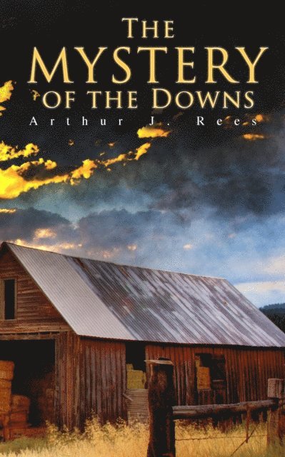 Arthur J. Rees - Mystery of the Downs, E-bok