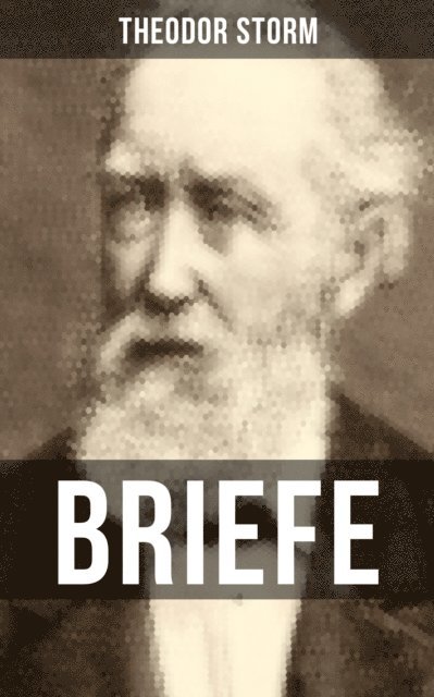 Theodor Storm, Carolin Vogler - BRIEFE, E-bok