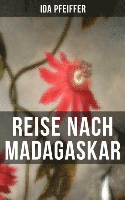 Ida Pfeiffer, Miriam Fritz - Reise nach Madagaskar, E-bok