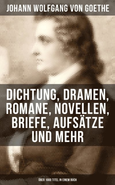 Johann Wolfgang von Goethe, Isabell Hofmann - Die wichtigsten Werke von Goethe, E-bok