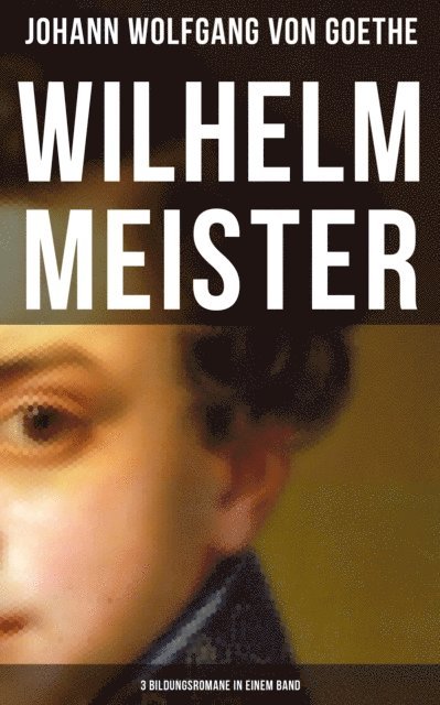 Johann Wolfgang von Goethe, Isabell Hofmann - Wilhelm Meister (3 Bildungsromane in einem Band), E-bok
