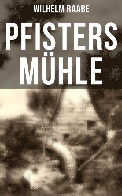 Wilhelm Raabe, Paula Winkler - Pfisters Mühle, E-bok