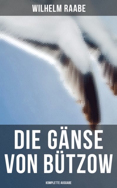 Wilhelm Raabe, Paula Winkler - Die Gänse von Bützow, E-bok