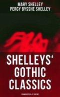 Shelleys' Gothic Classics: Frankenstein & St. Irvyne