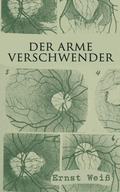 Ernst Wei - Der arme Verschwender, E-bok