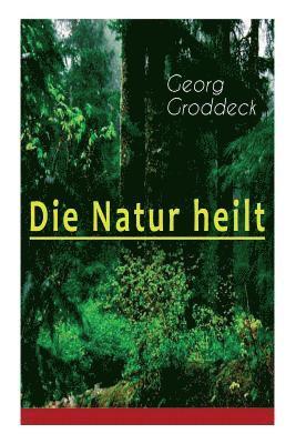 Georg Groddeck - Die Natur Heilt, Häftad