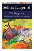 Nils Holgerssons Wunderbare Reise Mit Den Wildgnsen