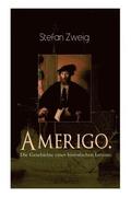 Amerigo. Die Geschichte eines historischen Irrtums