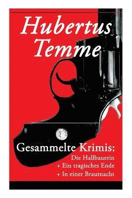 Hubertus Temme - Gesammelte Krimis, Häftad