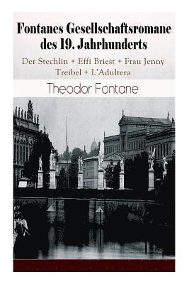 Theodor Fontane - Fontanes Gesellschaftsromane Des 19. Jahrhunderts: Der Stechlin + Effi Briest + Frau Jenny Treibel + l'Adultera, Häftad
