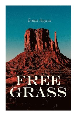 Ernest Haycox - Free Grass, Häftad