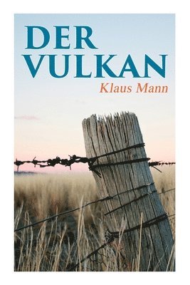 Klaus Mann - Der Vulkan, Häftad