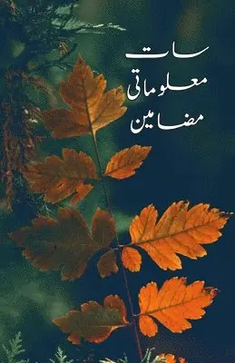 Anjuman Taraqqi Urdu Hyderabad - Saat Maloomati Mazameen: (Urdu Essays), Häftad. Tillgänglighet: Lägg i varukorg