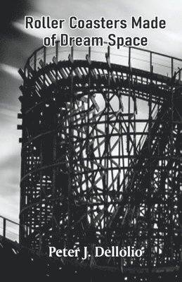 Peter J Dellolio - Roller Coasters Made of Dream Space, Häftad