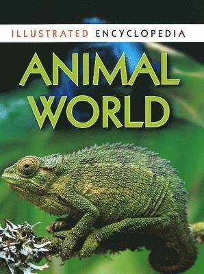 Pawanpreet Kaur - Animal World, Häftad. Tillgänglighet: Lägg i varukorg