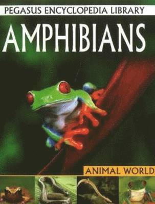Pallabi B Tomar, Hitesh Iplani - Amphibians, Inbunden. Tillgänglighet: Lägg i varukorg