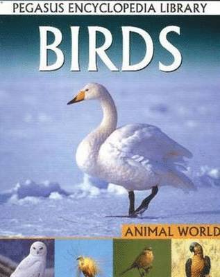 Pallabi B Tomar, Hitesh Iplani - Birds, Häftad. Tillgänglighet: Lägg i varukorg