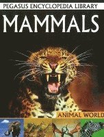 Pallabi B Tomar, Hitesh Iplani - Mammals, Häftad. Tillgänglighet: Lägg i varukorg