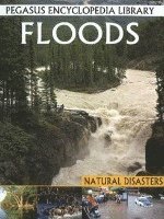 Pallabi B Tomar, Hitesh Iplani - Floods, Inbunden. Tillgänglighet: Lägg i varukorg