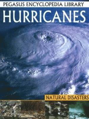 Pallabi B Tomar, Hitesh Iplani - Hurricanes, Inbunden. Tillgänglighet: Lägg i varukorg