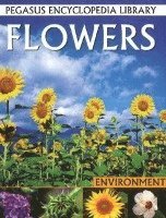 Pallabi B Tomar, Hitesh Iplani - Flowers, Inbunden. Tillgänglighet: Lägg i varukorg