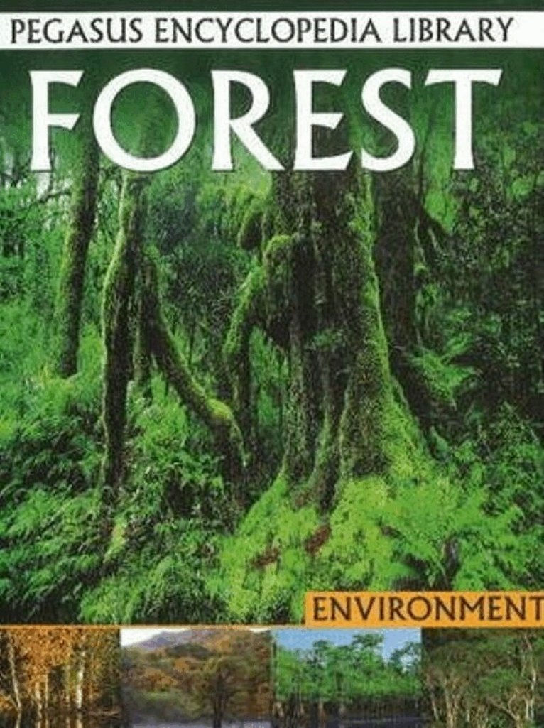 Pallabi B Tomar, Hitesh Iplani - Forest, Häftad. Tillgänglighet: Lägg i varukorg
