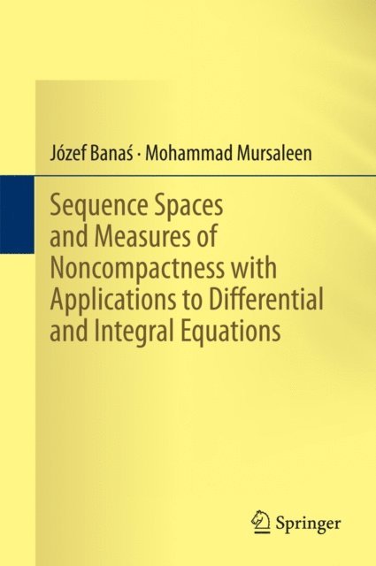 Mohammad Mursaleen, Jozef Banas - Sequence Spaces and Measures of Noncompactness with Applications to Differential and Integral Equations, E-bok