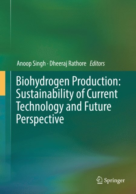 Dheeraj Rathore, Anoop Singh - Biohydrogen Production: Sustainability of Current Technology and Future Perspective, E-bok