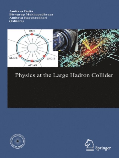 A. Raychaudhuri, B. Mukhopadhyaya, Amitava Datta - Physics at the Large Hadron Collider, E-bok