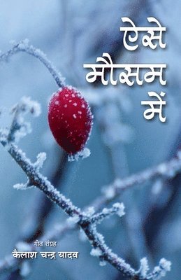 Kailash Chandra Yadav - Aise Mausam Mein, Häftad