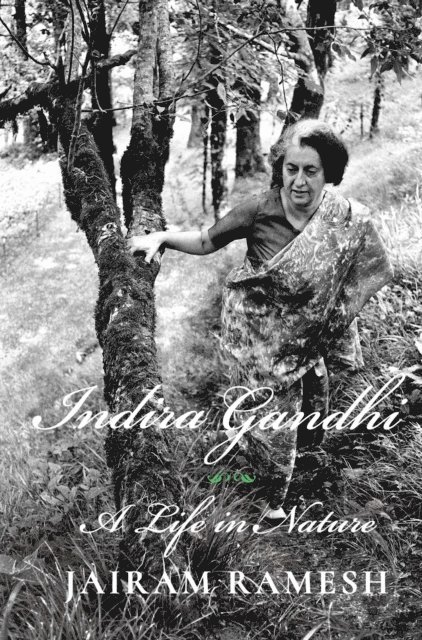 Jairam Ramesh - Indira Gandhi, E-bok