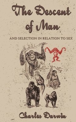 Charles Darwin - Descent of Man, Häftad